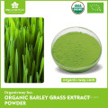 NOP Organic Smoothie Powder barley grass juice extract powder